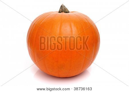 Zucca isolata on white background