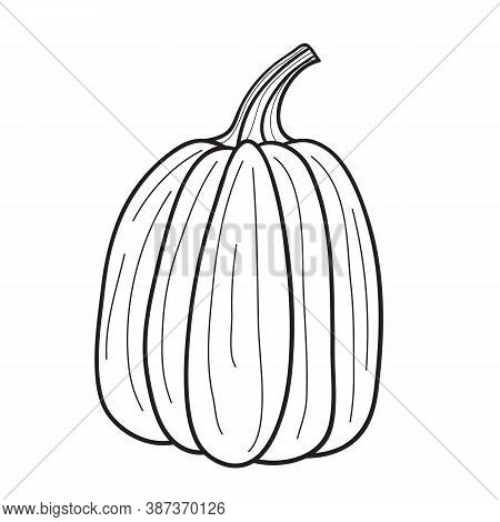 Pumpkin For Coloring Book. Line Art Design For Kids Coloring Page.isolated On White Background.vecto