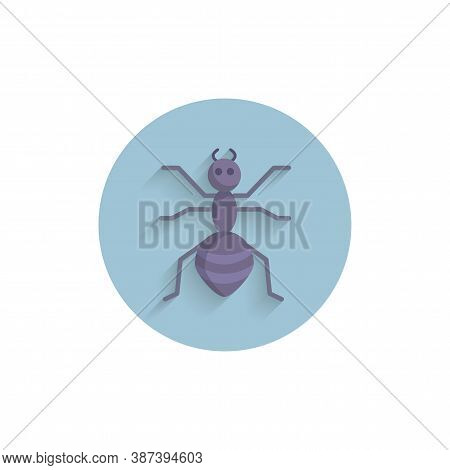Ant Colorful Flat Icon With Long Shadow. Ant Flat Icon