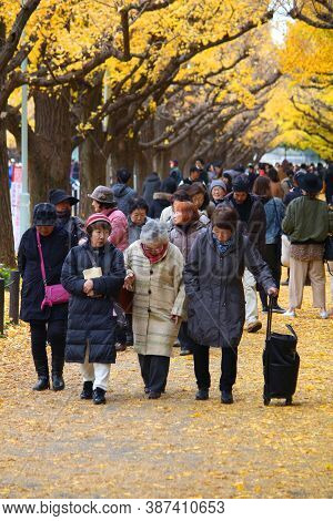 Tokyo, Japan - November 30, 2016: Seniors Celebrate Ginkgo Avenue Autumn Foliage In Tokyo, Japan. Ic