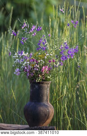 Flower Bouquet In Pot. Vintage Rural Style Botany. Various Colorful Blossom Of Spring Flowers. Beaut