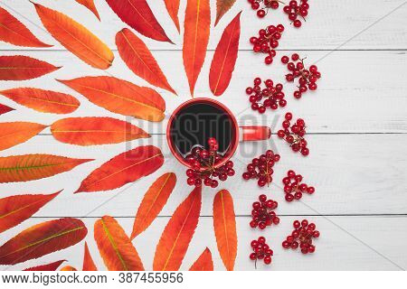 A Cup Of Tea With Viburnum Berries And Red Autumn Leaves On A Wooden Boards, October Mood, Rustic Co