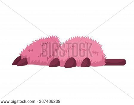 Home Footwear Slippers. Soft Comfortable Slip On Shoe For Home In The Form Of A Pink Bear. Pair Slip