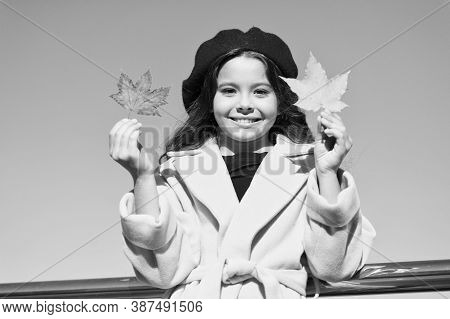 Inspiring Fall. Ideas For Autumn Leisure. Little Girl Adore Autumn Season. Kid Hold Maple Leaves. Sm
