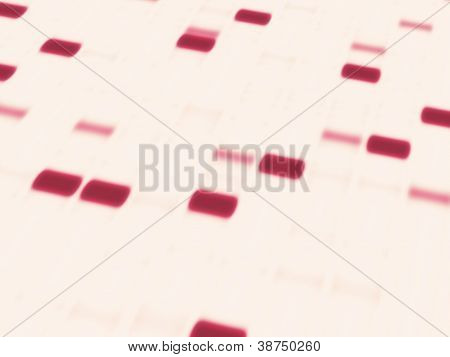 Elettroforesi del gel