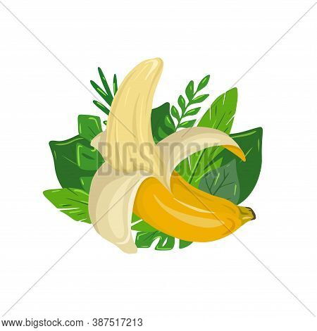 Cartoon Open Banana With Tropical Leaves And White Background. Delicious Juicy Treat. Vector Flat Il