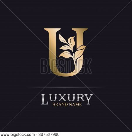 Golden Initial Letter U. Elegant Design Letter U With Floral Branch. Luxury Gold Logo Icon. Vintage 