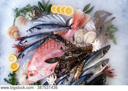 Top view Variety of fresh luxury seafood, Lobster salmon mackerel crayfish prawn octopus mussel red snapper scallop and stone crab, on ice background with icy smoke in seafood market.
