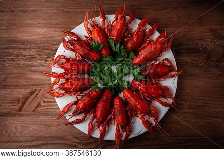 River Boiled Crayfish Top View River Boiled Crayfish Top View