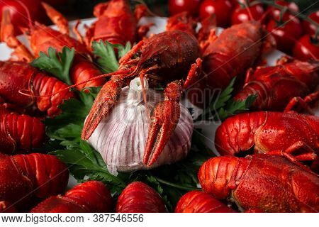 River Boiled Crayfish Top View River Boiled Crayfish Top View