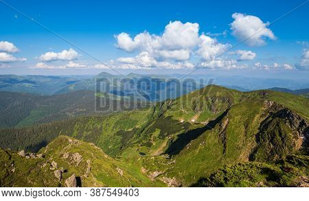 Summer Mountain Rocky Ridge, Rhododendron Flowers And Dwarf Alpine Pine Bushes. Marmaros Pip Ivan Mo