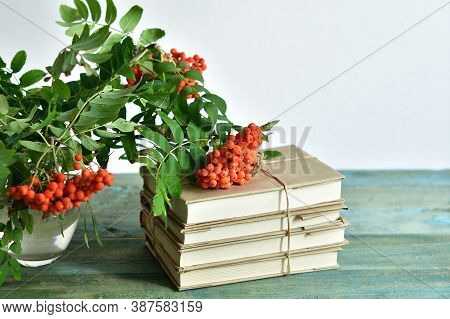 Happy Teacher's Day. Books, Rowan, Apple And Medical Protective Mask With Copy Space, Still Life.cov