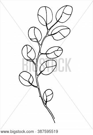 Abstract Plant Line Art. Hand Drawn Vector Illustration For Decoration Purposes. Isolated On White