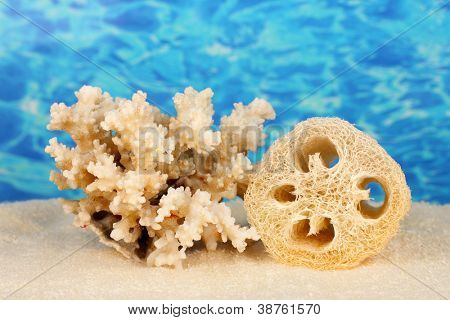 Loofah su sfondo di colore