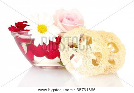 Luffa isolata on white