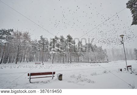 A Snow Covered Bench In A Park