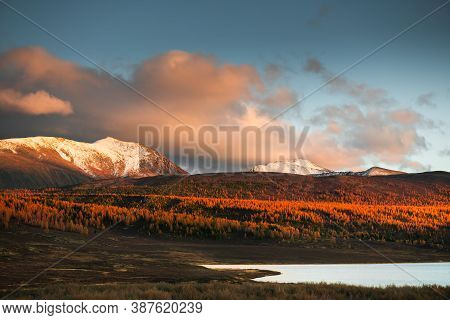 Ulagan Highlands At Sunset In Altai, Siberia, Russia. Yellow Trees And Snow-covered Mountain Peaks. 