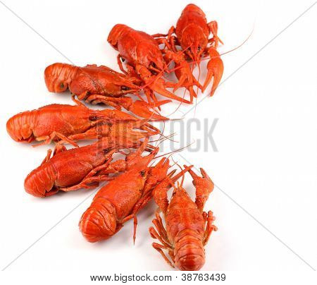 Tasty ต้มแยกต่างหากบนพื้นสีขาว crayfishes