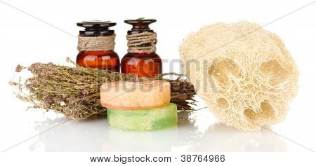 Luffa isolata on white