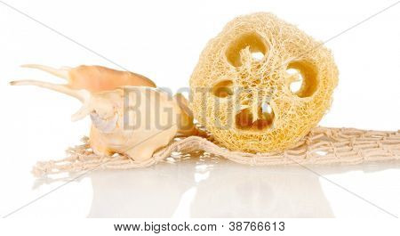 Luffa isolata on white