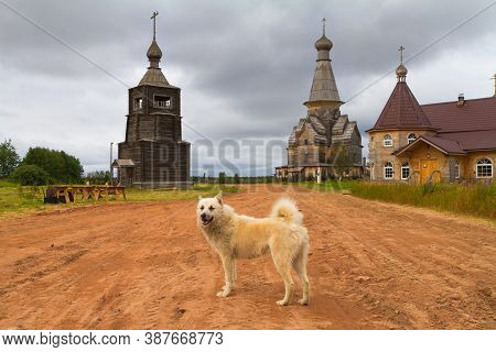 Varzuga, Ancient Age 600 Years Old Settlement In The North Of Russia Kola Peninsula And A White Laik