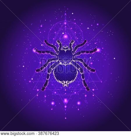Vector Illustration With Hand Drawn Spider Tarantula And Sacred Geometric Symbol Against The Starry 