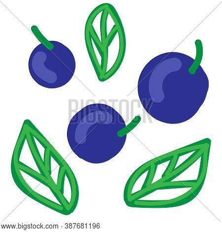 Cute Blueberry Or Blueberry With Leaves, Vector Color Element, Cute Simple Drawing For Kids, Funny F
