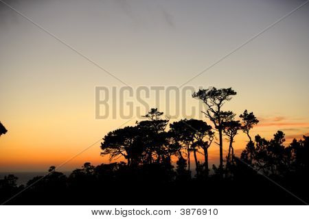 Coucher de soleil africain