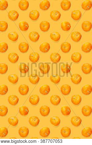 Autumn Background Made Frem Pumpkin. Background Of Orange Miniature Pumpkins. Thanksgiving Or Hallow