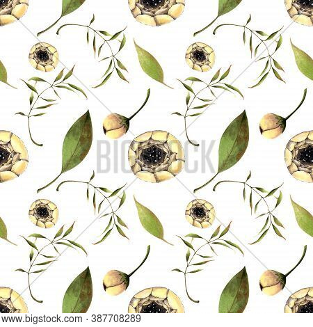 Seamless Pattern With White Flowers, Herbs, Leaves On White Background. Hadn Drawn Illustration.