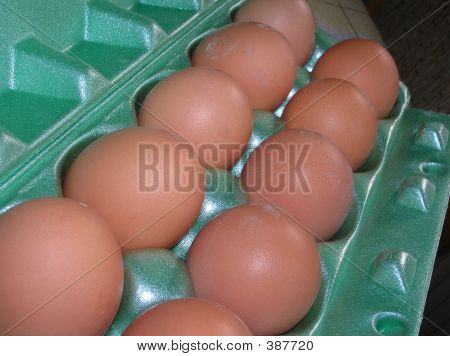 Eier in grünen Kunststoff Kasten 3