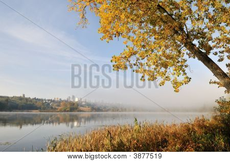 Deer Lake Park In Burnaby, Bc