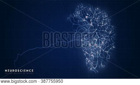 Neuron System Complex Model. Neural Net Structure. Research Of The Human Nerve Network. Digital Arti