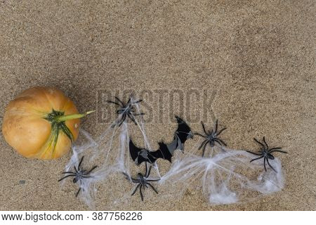 View From Above. Below Are A Pumpkin, Spiders In A Web And
Bat.
