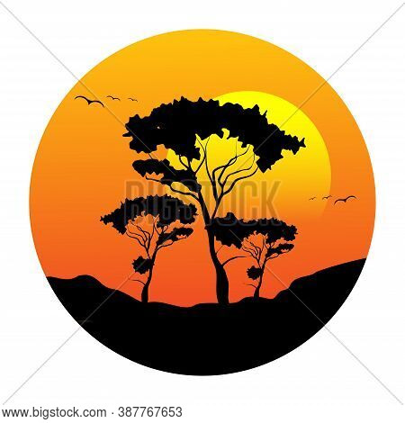 Silhouette Of Acacia Under Sunset. Silhouette Of Acacia Under Sunset.