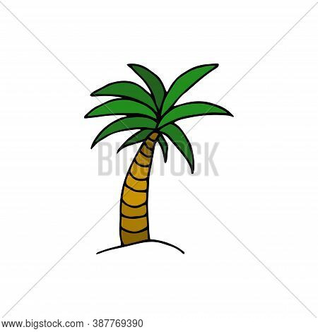 Palm Tree Drawn By Hand In Doodle Style. Isolated On A White Background. Palm Tree Icon, Thin Line S