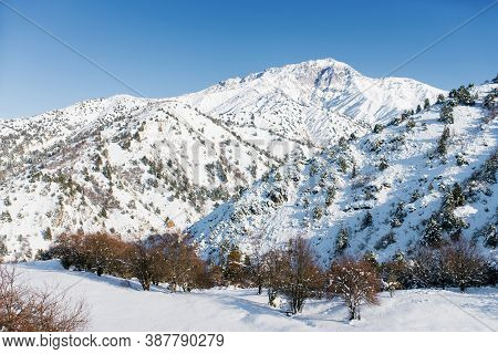 Winter In The Ski Resort Of Uzbekistan Beldersay. Mountains And Trees In The Snow