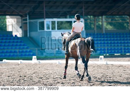 Training Process Before Competition. Young Teenage Girl Riding Trotting Horse On Empty Sandy Arena P