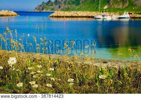 Fishing Port, Bleik Village In Summer Time. Andoya Island, Vesteralen Archipelago.