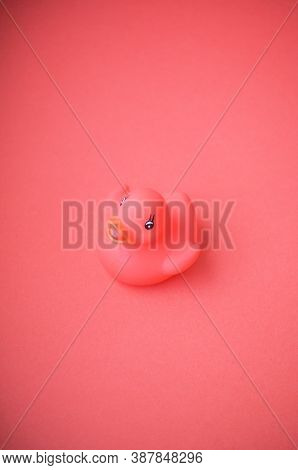 Isolated Peach Pink Toy Rubber Duck On A Same Color Background