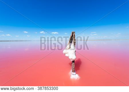 Pink Lake. Salt Pink Formation In The Lake. Water Of This Lake Is Heavily Saturated With Salt And Ha
