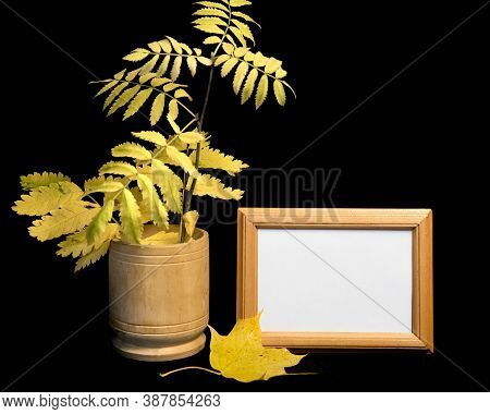 Empty Wooden Frame Mockup. Yellow Frame And Rowan Leaves. Black Background. Autumn Nature Eco Style.