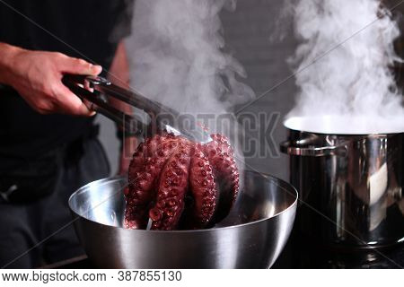 Boiled Octopus Is Taken Out Of The Pan. The Whole Carcass Of An Octopus. Pot Of Hot Water In The Kit