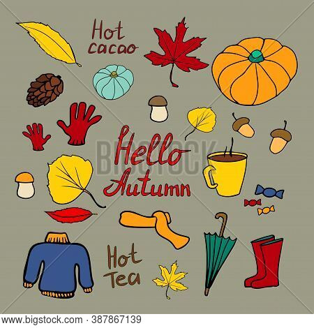 Color Vector Set Of Autumn: Cone, Leaf, Acorn, Cup Of Tea, Gloves, Cozy Clothes, Umbrella, Rubber Bo