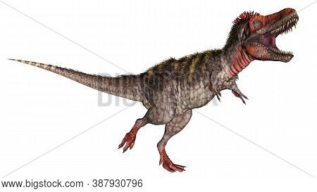 Tarbosaurus Dinosaur Roaring Isolated In White Background - 3d Render