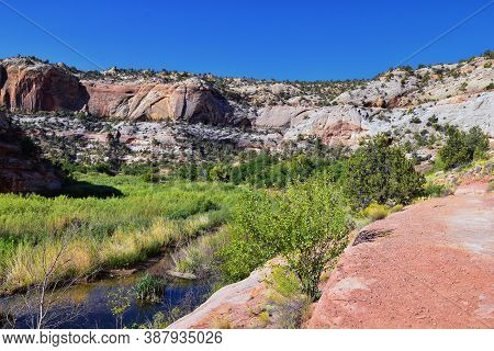 Lower Calf Creek Falls Views From The Hiking Trail Grand Staircase-escalante National Monument Betwe