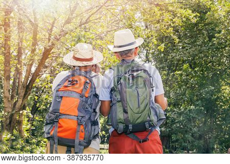 Back View Two Senior Men Carrying A Backpack, Eco-tourism, Nature Trail, Forests And Tropical Mounta