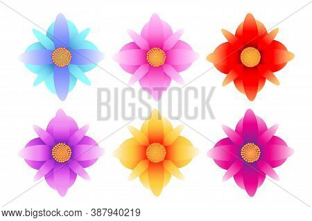 Flowers Vector Set On White Background, Vector Design.