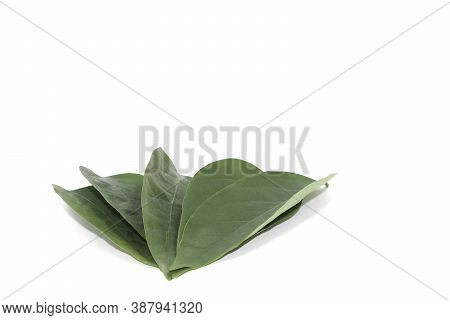 Small Green Gooseberry Leaves Arranged Beautifully With Artistic Elements And Have Space To Write Me