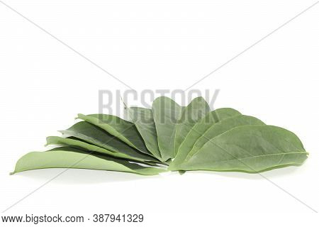 Small Green Gooseberry Leaves Arranged Beautifully With Artistic Elements And Have Space To Write Me